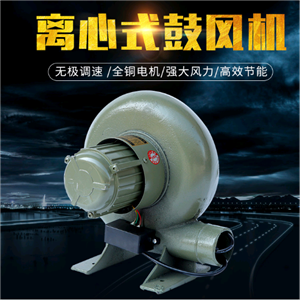 家用小型電動(dòng)鼓風(fēng)機(jī)220V 低噪音離心式鼓風(fēng)機(jī)